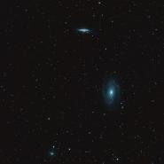 M81, M82 and NGC 3077 