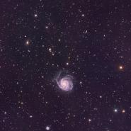 M101