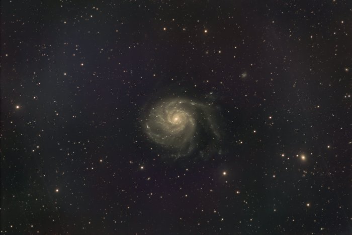 M101