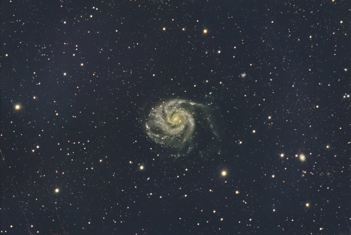 M101