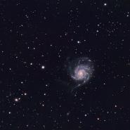 M101