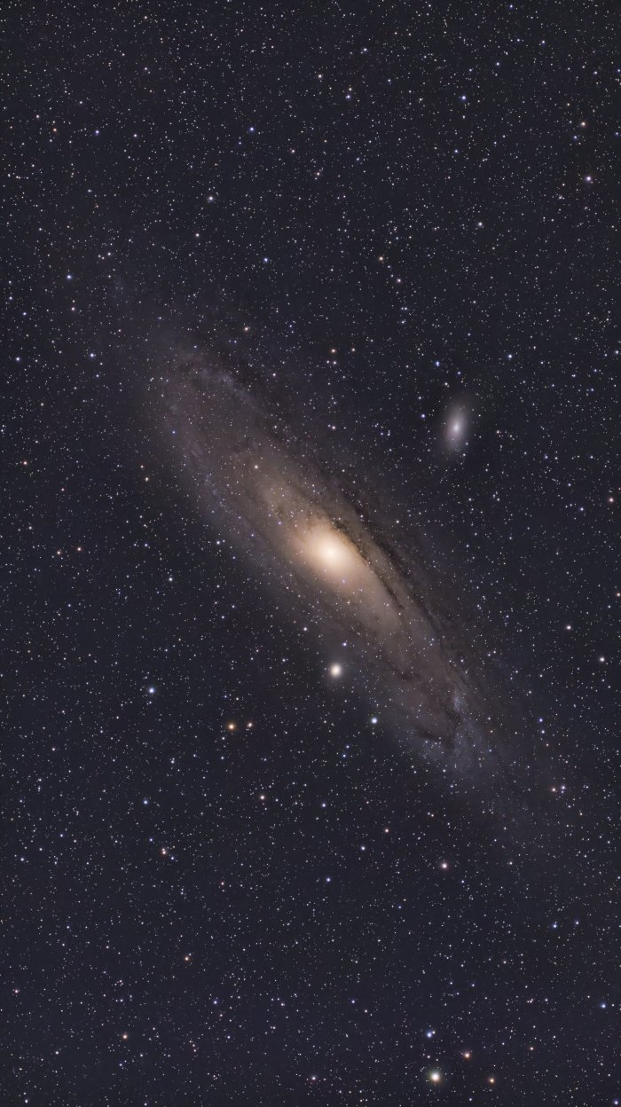 M31 (Andromeda Galaxy)