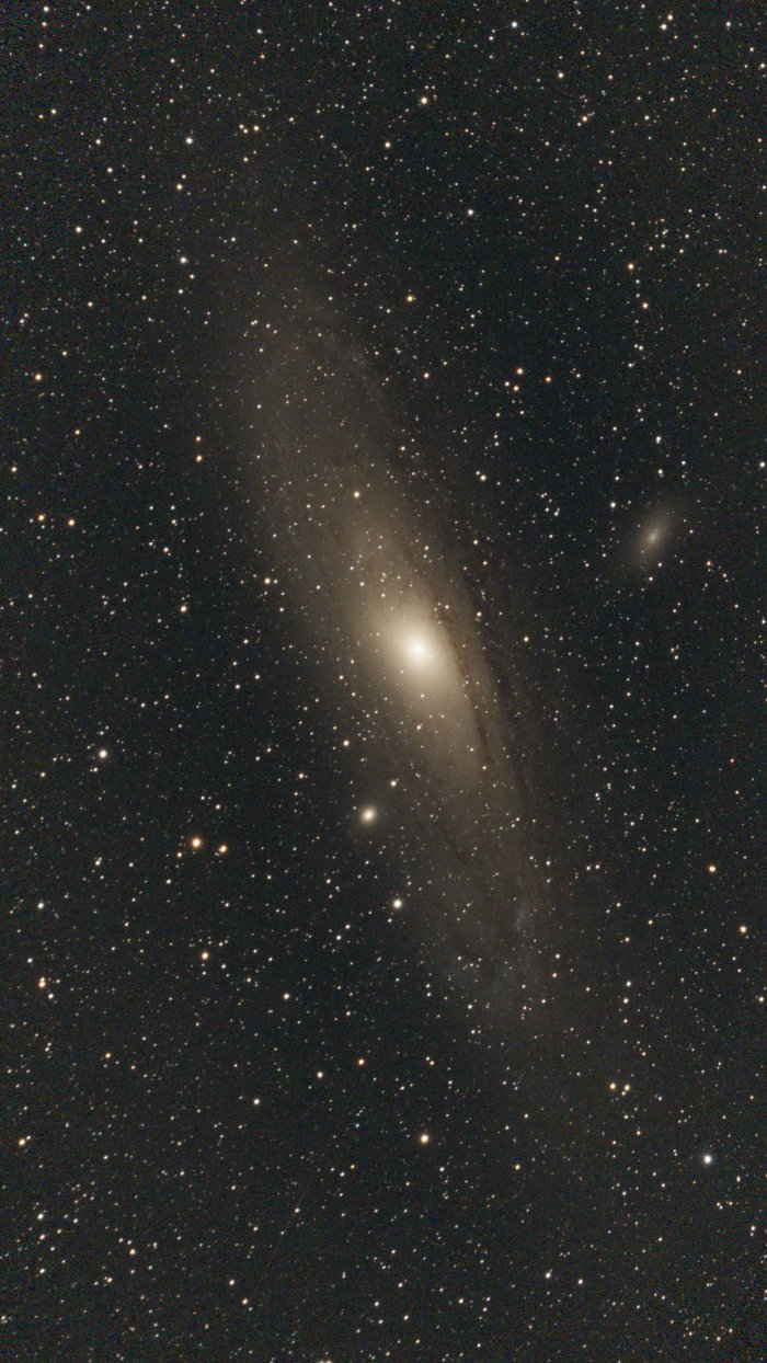M31 (Andromeda Galaxy)