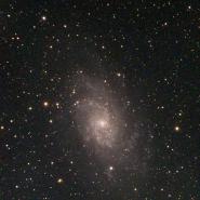 M 33