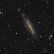 NGC-4236