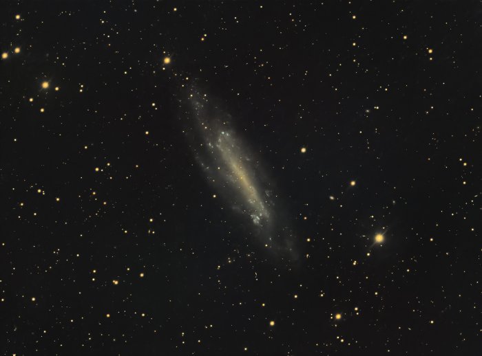 NGC 4236