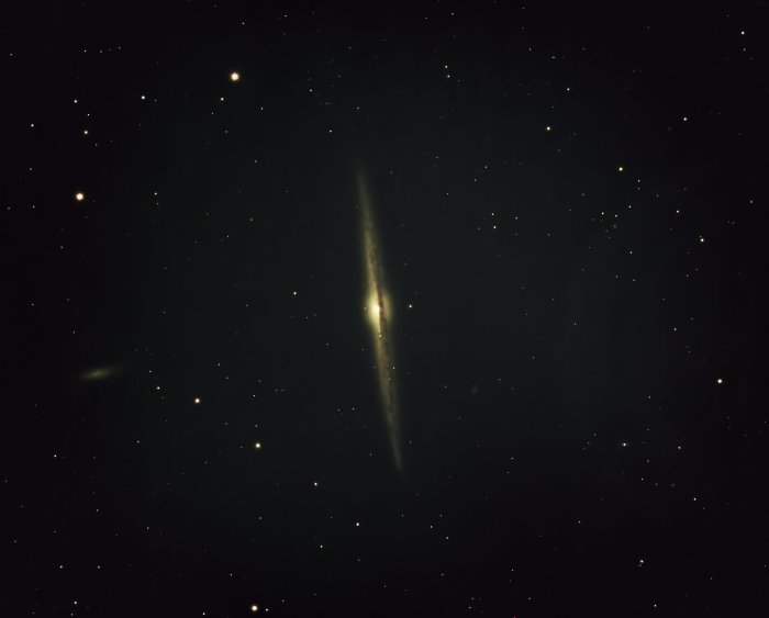 NGC 4565