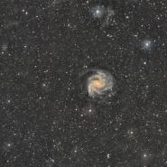 NGC 6946 (Fireworks Galaxy)