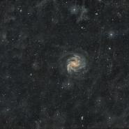 Fireworks Galaxy