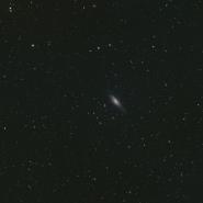 NGC 7331 (Deer Lick Group)