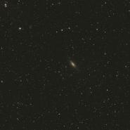 NGC 7331 (Deer Lick Group)