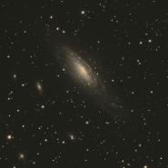 NGC 7331 (Deer Lick Group)