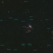 NGC 7331 (Deer Lick Group)
