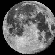 100% Frog-Croaking Full Moon