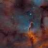 IC 1386 Elephant Trunk Nebula