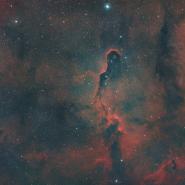IC 1396 (Elephant Trunk Nebula)