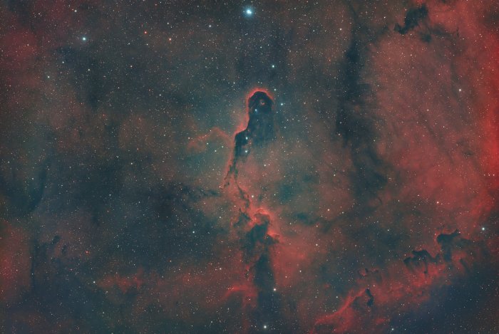 IC 1396 (Elephant Trunk Nebula)