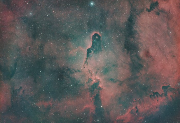 IC 1396 (Elephant Trunk Nebula)