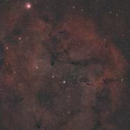 IC 1396 Elephant Trunk Nebula