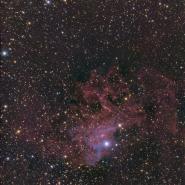 IC 405 (Flaming Star Nebula)