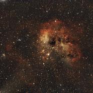 NGC 1893 (IC 410 Tadpoles Nebula)