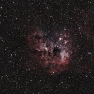 NGC 1893 (IC 410 Tadpoles Nebula)