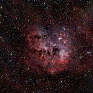 IC 410 The Tadpoles Nebula