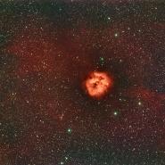 IC 5146 (Cocoon Nebula)