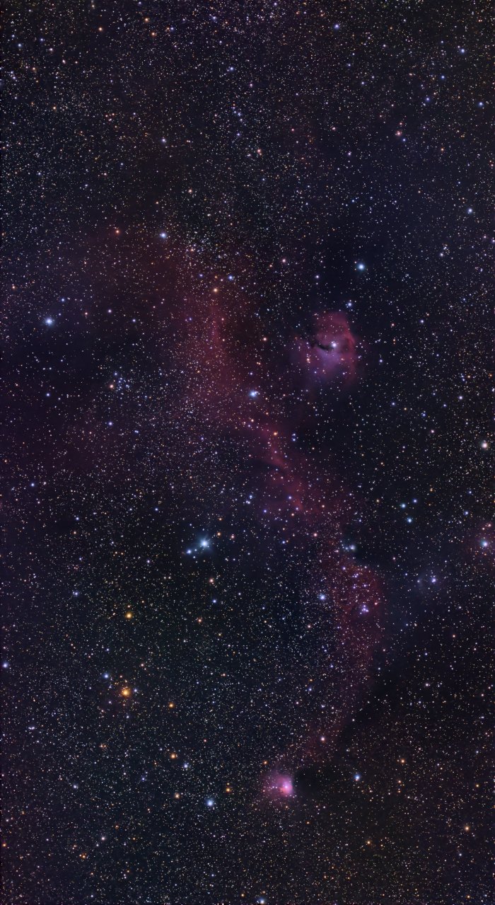 IC 2177 / NGC 2335 (Seagull Nebula)