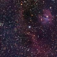 IC 2177 / NGC 2335 (Seagull Nebula)