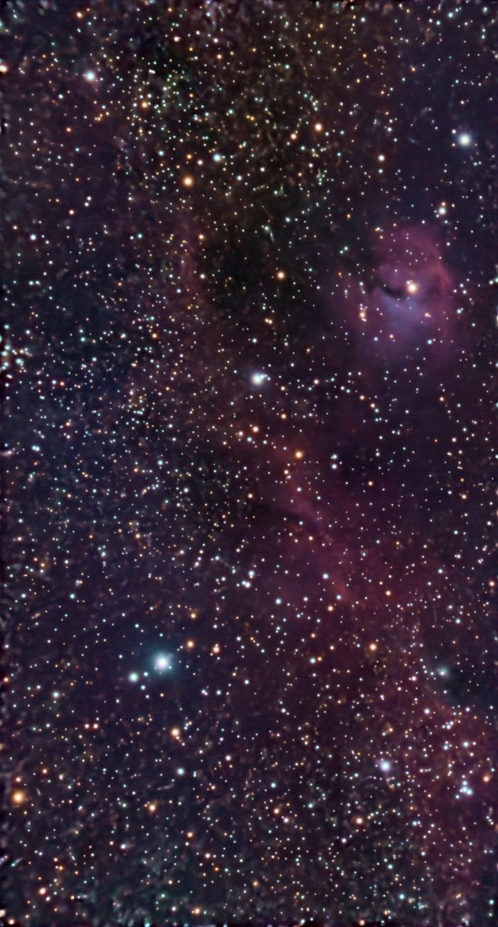 IC 2177 / NGC 2335 (Seagull Nebula)