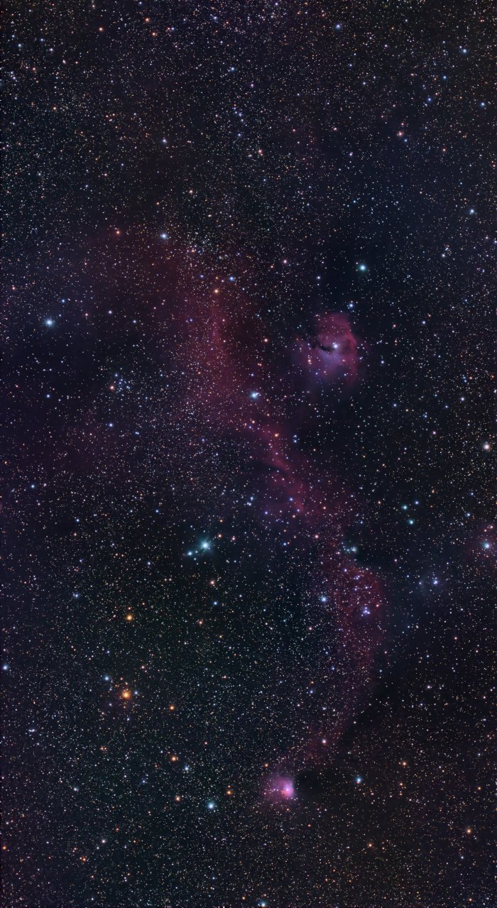 IC 2177 / NGC 2335 (Seagull Nebula)