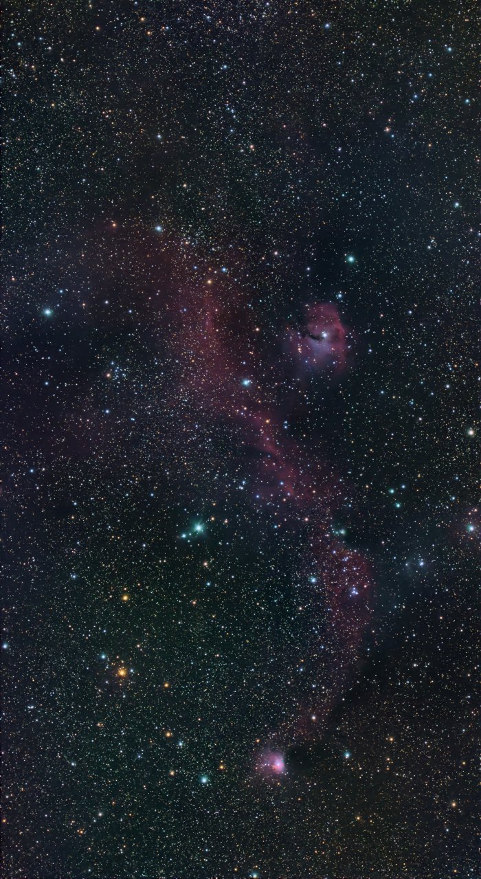IC 2177 / NGC 2335 (Seagull Nebula)