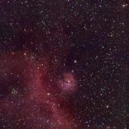 IC 2177 / NGC 2335 (Seagull Nebula)