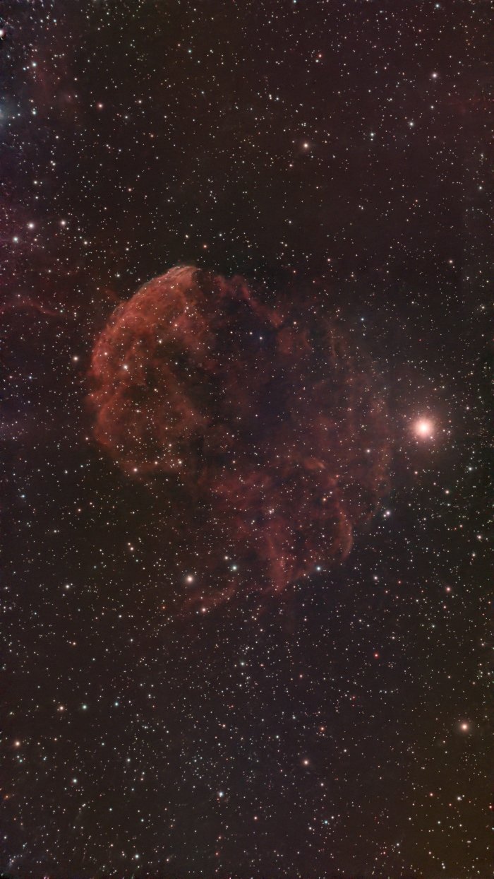 IC 443 (Jellyfish Nebula)