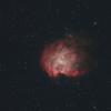 NGC 2175 Monkey Head Nebula