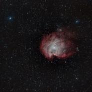 NGC 2175