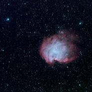 NGC 2175 Monkey Head Nebula