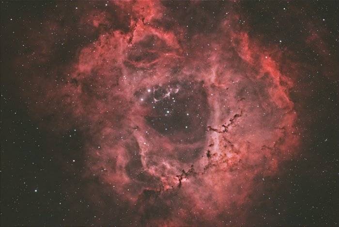 NGC 2244 (Rosette Nebula)