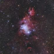 NGC 2264 Christmas Tree Nebula