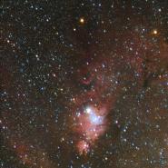NGC 2264 (Christmas Tree Cluster)