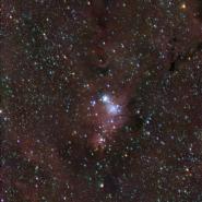 NGC 2264 Christmas Tree Nebula