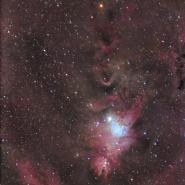 NGC 2264 (Christmas Tree Cluster)
