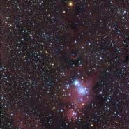 NGC 2264 (Christmas Tree Cluster)