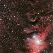 NGC 2264 (Christmas Tree Cluster)