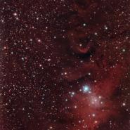 NGC 2264 (Christmas Tree Cluster)