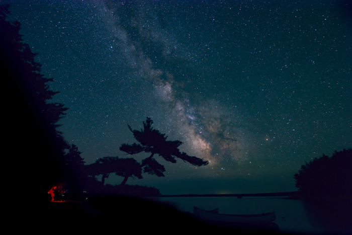 Observing the Dark Horse rising